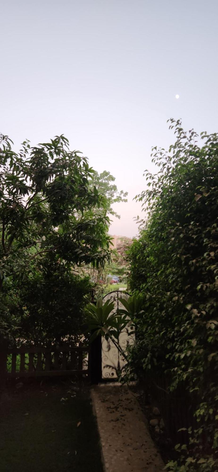 Apartment Al Rehab - New Kairo